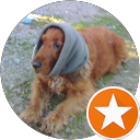 Niko Ganfornina profile picture